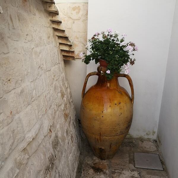 typical pugliese large yellow coloured urn with white geraniums planted inside