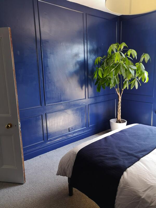 dark blue panelling contrasting against the green