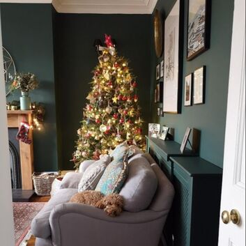 dog sleeping on a sofa in a dark living room in front of a Christmas tree