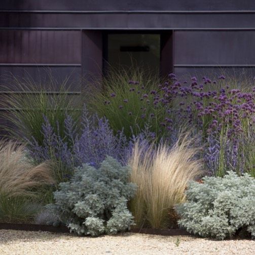 Adding texture and scent to a garden really targets all the senses
