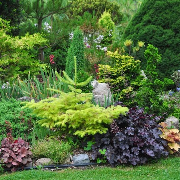 visually appealing layered look to a garden