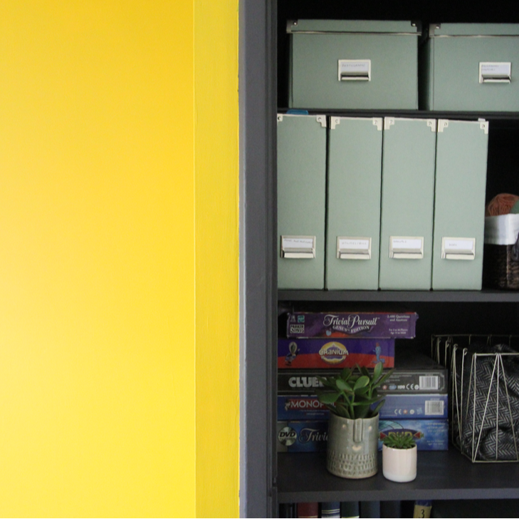 storage section in a study with bold contrasting colours